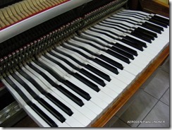 Piano LINDNER-003