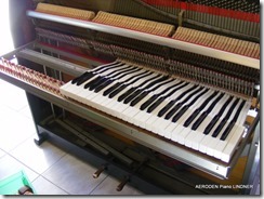 Piano LINDNER-071